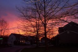 A spectacular late winter sunset. Photo