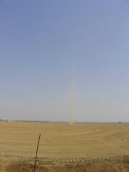Dust devil making its way across a cleared field. Image