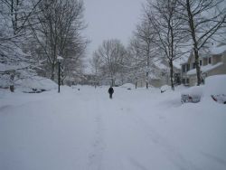 Walking in a winter wonderland. Image