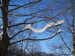 A snow garland Image