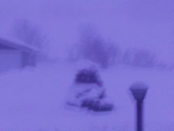 White-out conditions during blizzard. Image