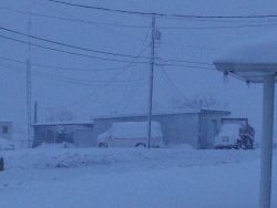 White-out conditions during blizzard Image