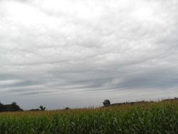 Wave clouds over eastern Wisconsin Image