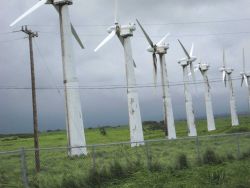 Wind generators at the Kohala wind generating farm at the NW tip of Hawaii. Image