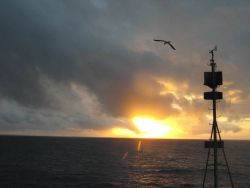 A blazing sunset at sea as the NOAA Ship HI'IALAKAI is seemingly led to the west by a booby flying over the jackstaff. Photo