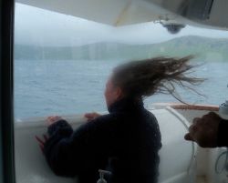 Williwaw blowing in Pavlof Islands - enough to uncurl one's hair Image