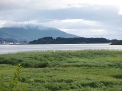 Windmills for power generation on ridge overlooking Kodiak. Image