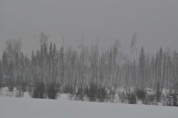 Snow obscuring visibility over the Brooks Range. Image