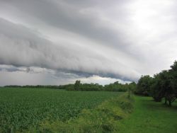 Shelf cloud over NW Illinois Image