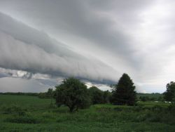 Shelf cloud over NW Illinois Image