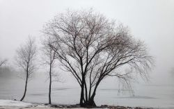 Winter scene of ice, snow, freezing fog, and iced over pond. Image