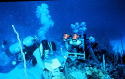 Stereo photography allows diver scientists to measure the size of corals. Image