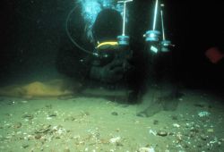 Core sample collection in the muddy sands of Long Island Sound. Image