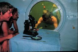 Snorkeler visits the Marine Resources Lab now in a lagoon off Key Largo, FL. Image