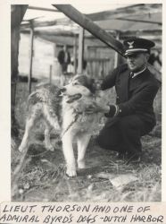Lieutenant (j.g.) Al Thorson and one of Admiral Byrd's dogs Image