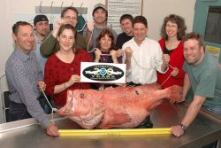 Greetings from the Alaska Fisheries Science Center (AFSC) Image