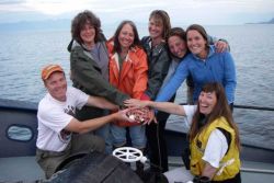 Greetings from the Habitat Conservation Division of the NOAA Fisheries Alaska Region which supports a small team of scientific scuba divers to investi Image