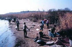 Volunteers at Ft McHenry collect and remove bags of trash collected at the restoration site. Image