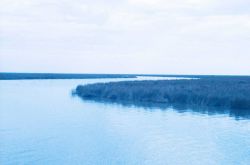 Locust Bayou between plug site 7 and the existing southeast trending oil access canal Image