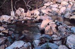 Looking downstream at the completed pools. Image