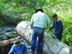 Skagit Fisheries Enhancement members secure the logs with cable. Image