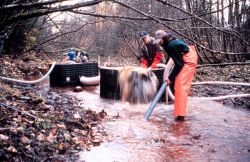 Cleaning gravel from the streambed using a suction pump Image