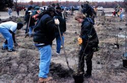 Volunteers plant woody shrub wetland species in the restored flood plain. Image