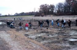 Volunteers in the emergent wetland, vegetation in the flood plain. Image