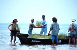 Volunteers move planting material to the island. Image