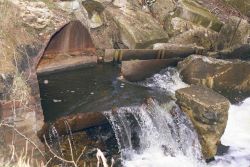 Another view of the dam at the Pilgrim Trail restoration site. Image