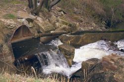 A medium shot of the dam at the Pilgrim Trail restoration site. Image