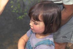 A small child watches migrating fish in fascination. Image