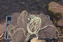 A picture of the nets used to capture fish before transporting them to their spawning areas. Image