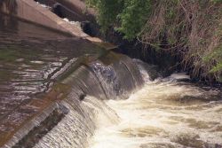 A view of the dam during the spring migration at a heavy flow. Image