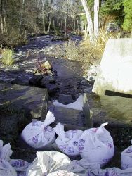 Looking downstream at the notch in the dam just prior to installation of the Alaskan Steep Pass. Image