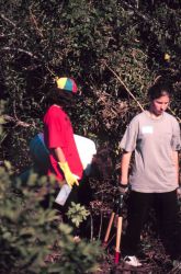 Volunteers from a local high school cut Brazilian Pepper bushes at their bases and then spray a spot application of herbicide Image