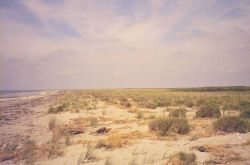 The old beach at Point Au Fer. Image