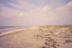 The old beach at Point Au Fer. Image