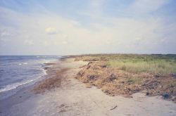 The old beach at Point Au Fer. Image