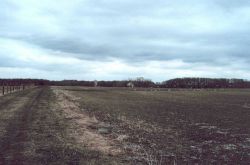 Land being considered for protection, Salem County, NJ Image