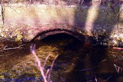 View of the concrete lower culvert that passes underneath Sea View Street Image