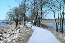 Gambacorta Creek, the National Heritage Park, Army Creek is in the background to the right Image