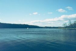 Greenwich Bay, RI mid-spring. Image