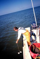 A former NOAA staff member takes a secchi depth reading. Image