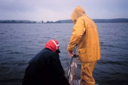 Collection of gillnets at a reference site, the mainland can be seen in the background. Image
