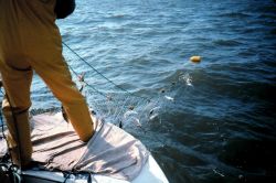 gillnet sampling Image