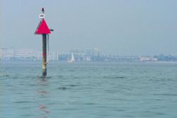 The shoreline around Tampa Bay. Image