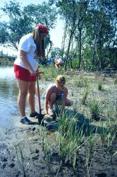 Volunteer team work, one student opens a hole to receive the plant and the other places a plant plug. Image