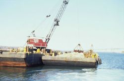 The reef construction operation. Image