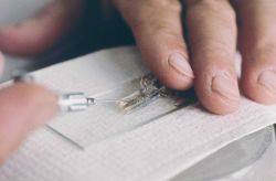 One of a series of images that shows the process of how researchers inject microwire tags into juvenile lobsters. Image